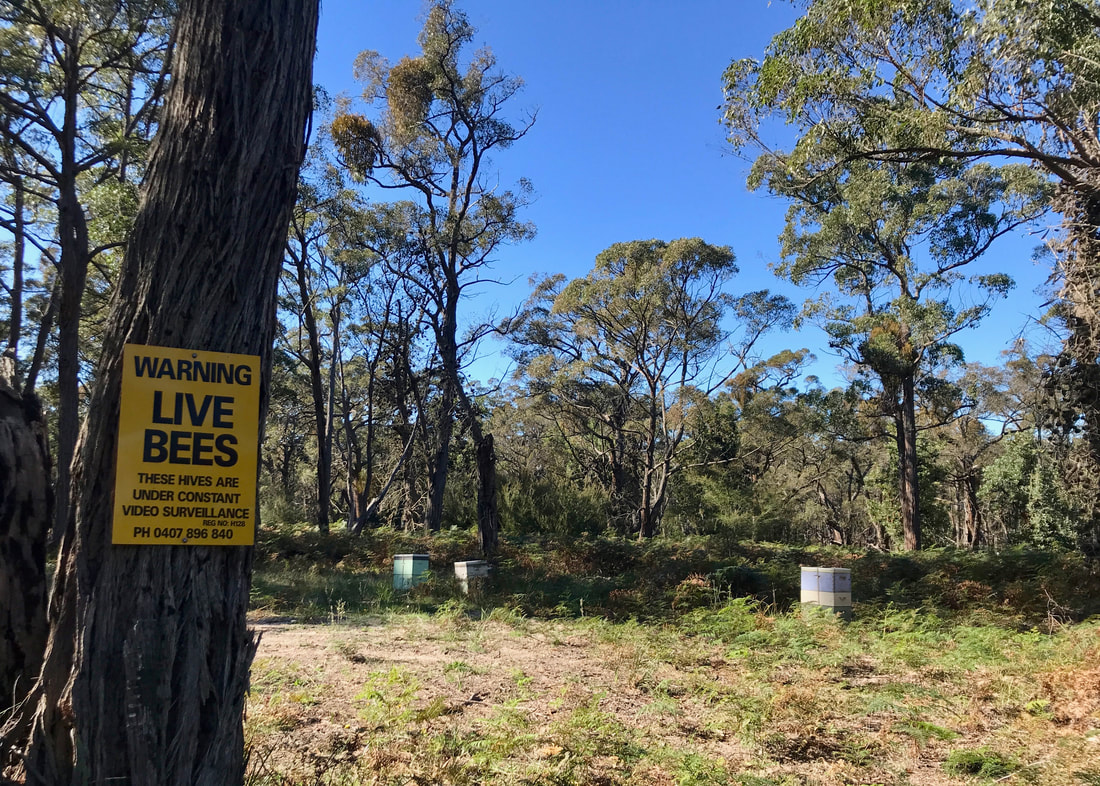 A few square bee hives placed in bracken, a sign on a tree trunk reads WARNING LIVE BEES - THESE HIVES ARE UNDER CONSTANT VIDEO SURVEILLANCE