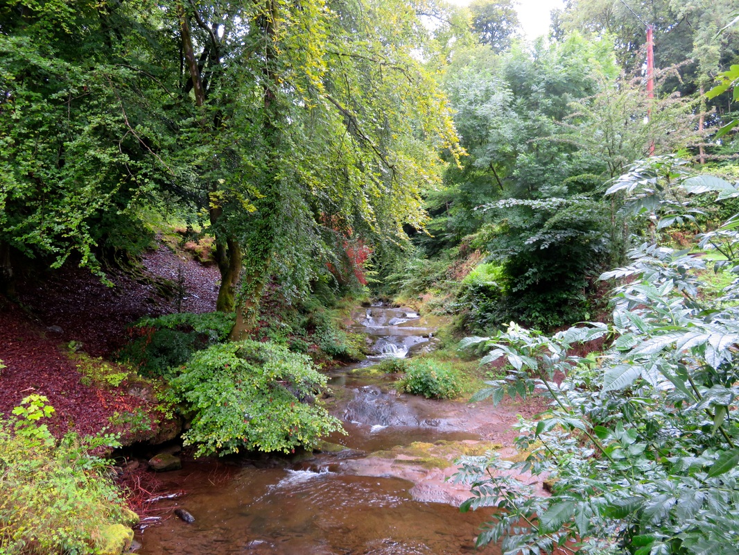 Autumnal stream