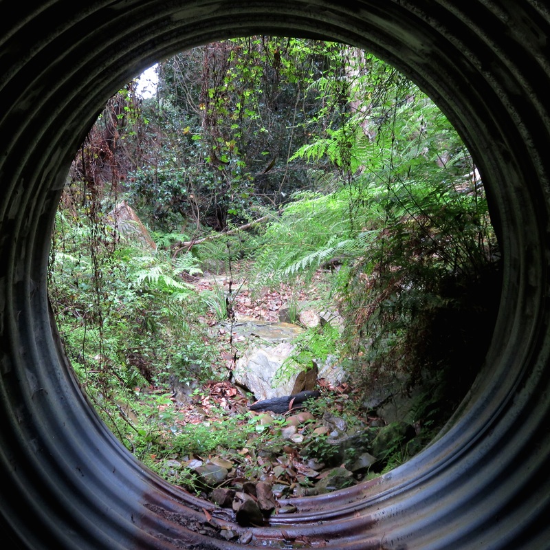 Looking out from inside the culvert