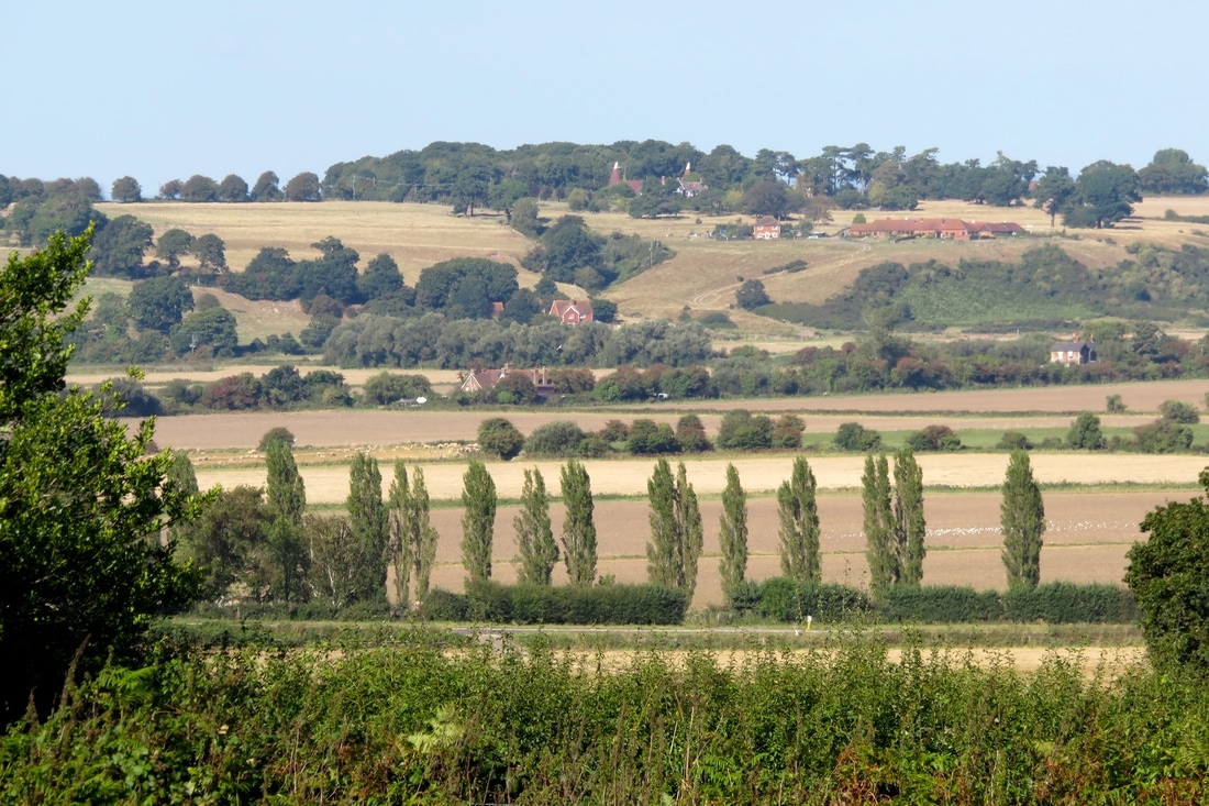 View of valley with farms and trees