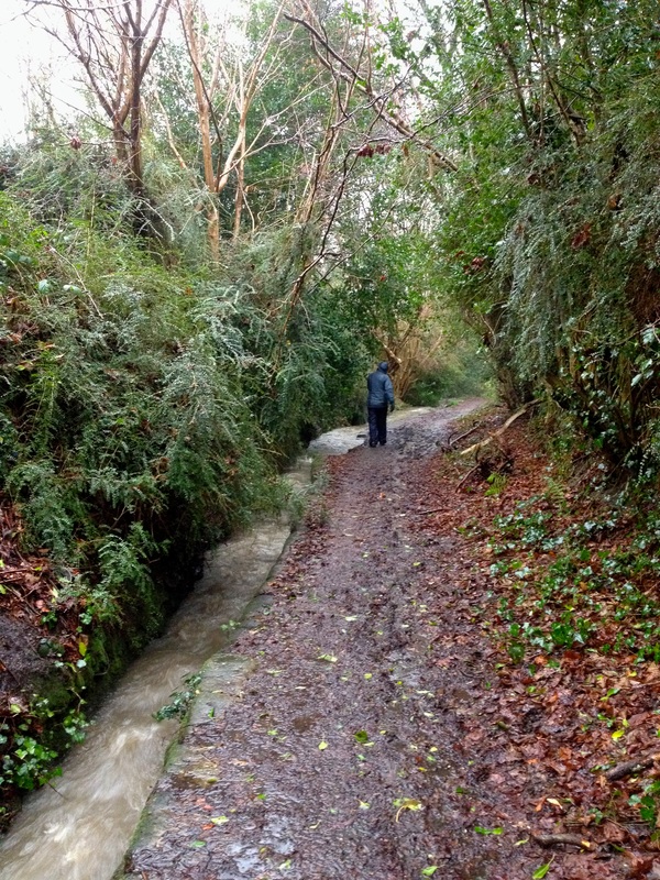 Path and stream