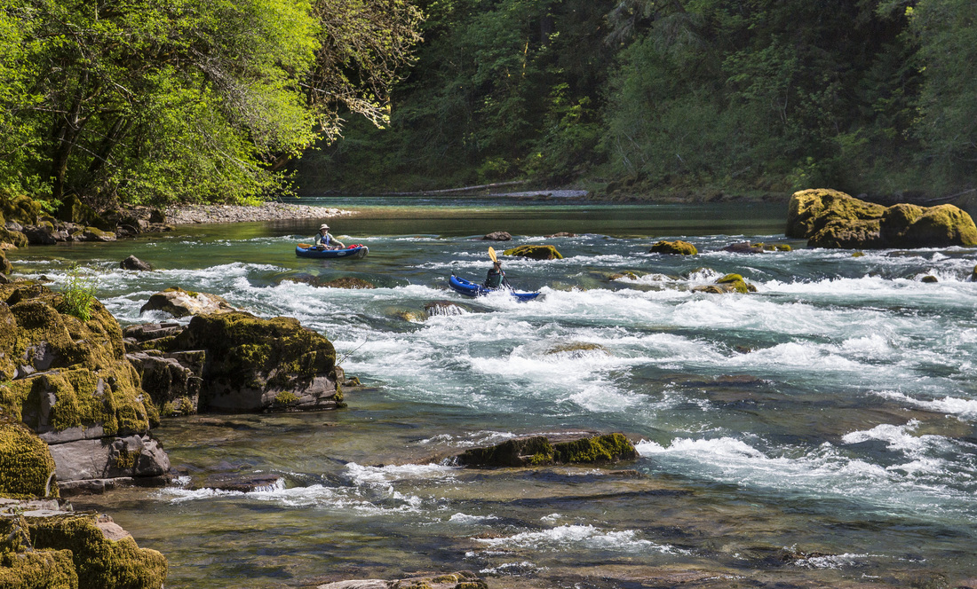 Two kayakers paddle down minor rapids on a clear river between trees