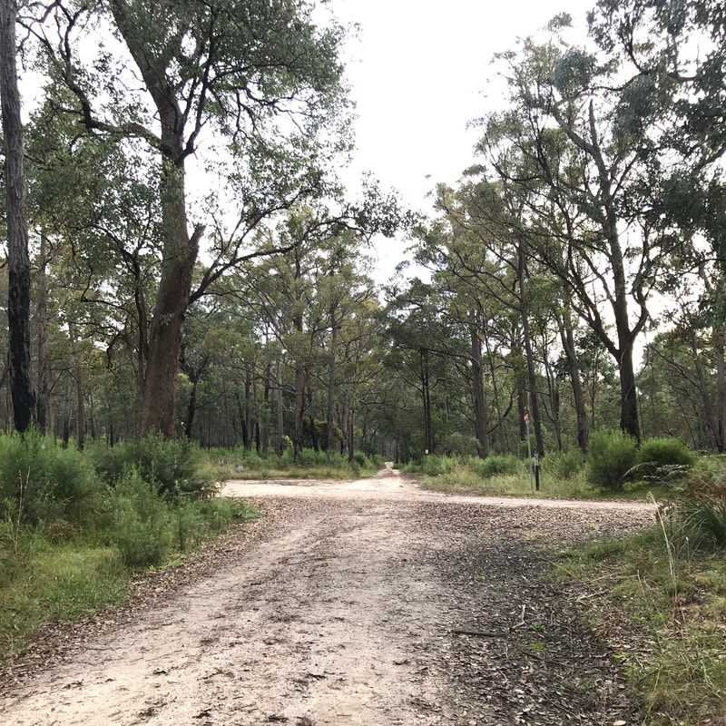Crossroads of two dirt roads in the bush