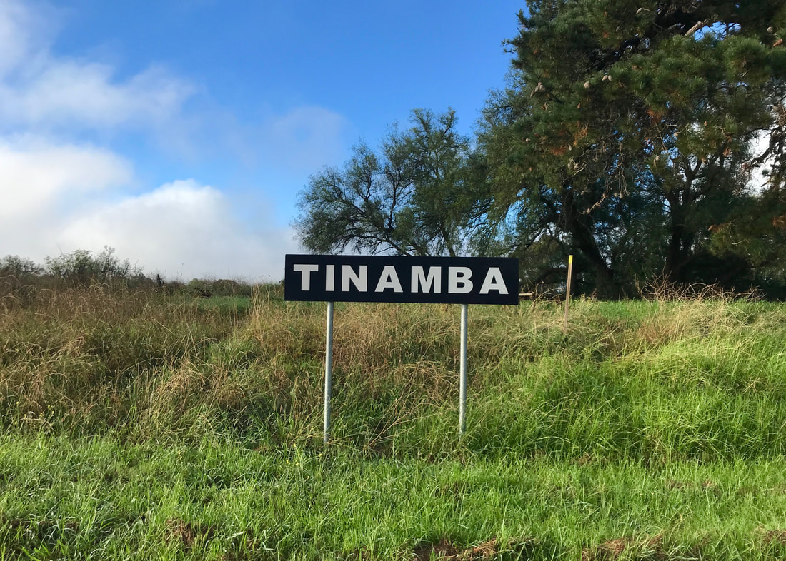overgrown grasses and weeds with a black and white sign for tinamba station in the middle