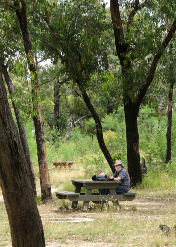 Person sitting at a picnic bench surrounded by trees