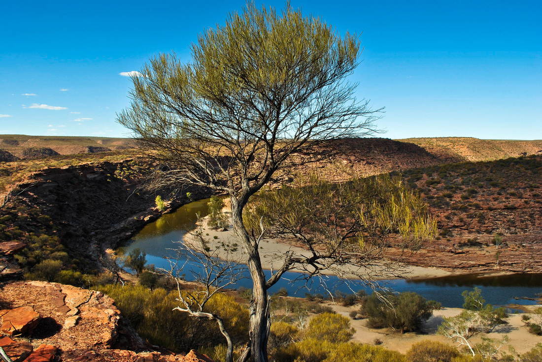 River meandering through red outback
