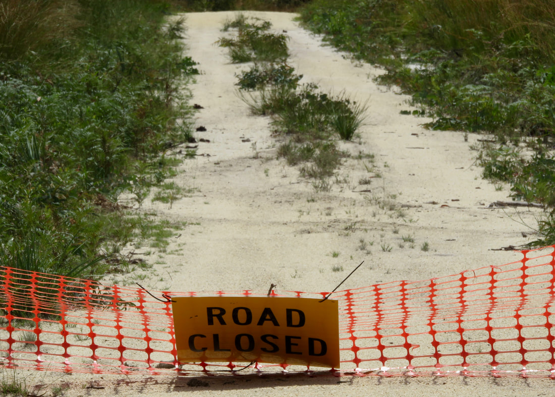 Picture of a pale dirt road with orange netting and a ROAD CLOSED sign in the foreground