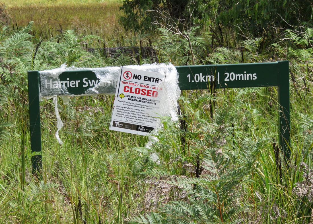 Dark green sign for Harrier Swamp, covered with a no entry notice