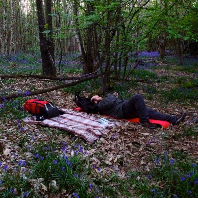 Person lying on mat surrounded by bluebells
