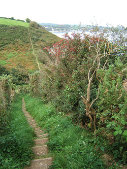 Steep path with steps along the coast