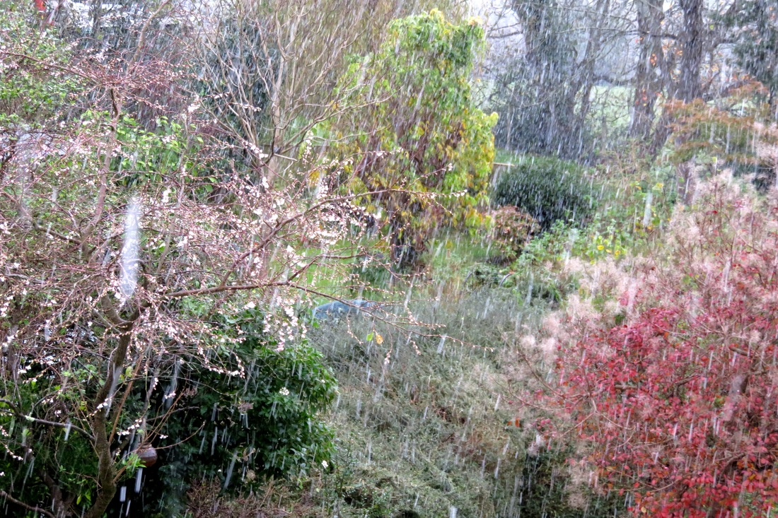 Garden and falling snow