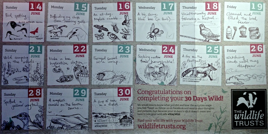 30 Days Wild calendar