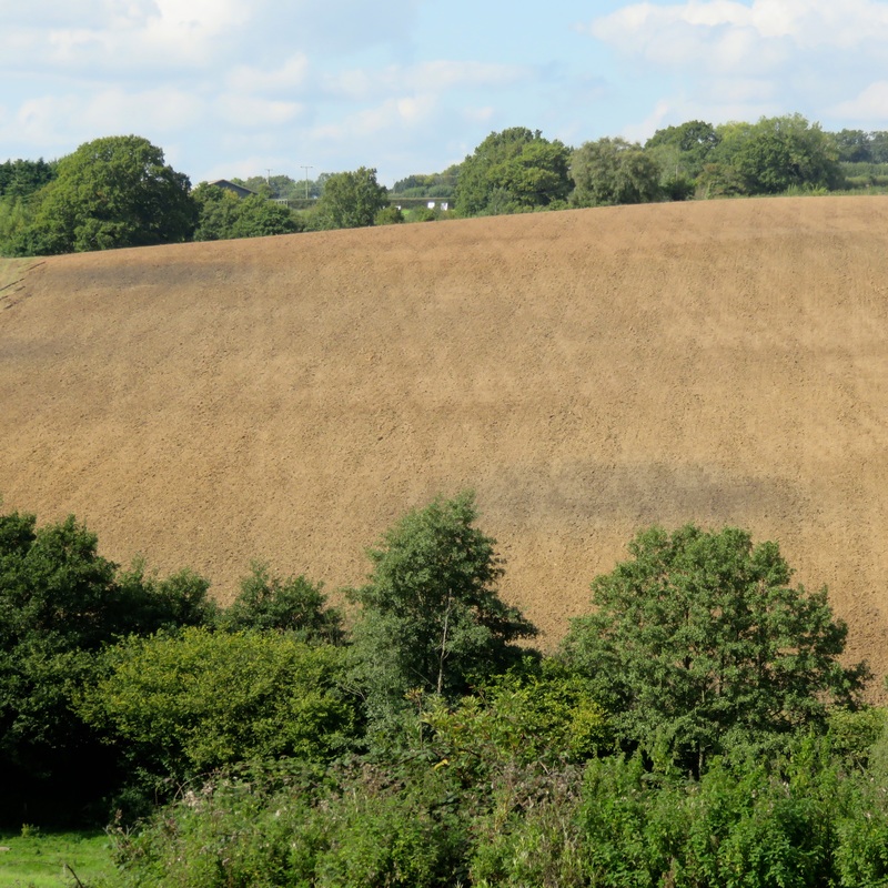 Field on hill
