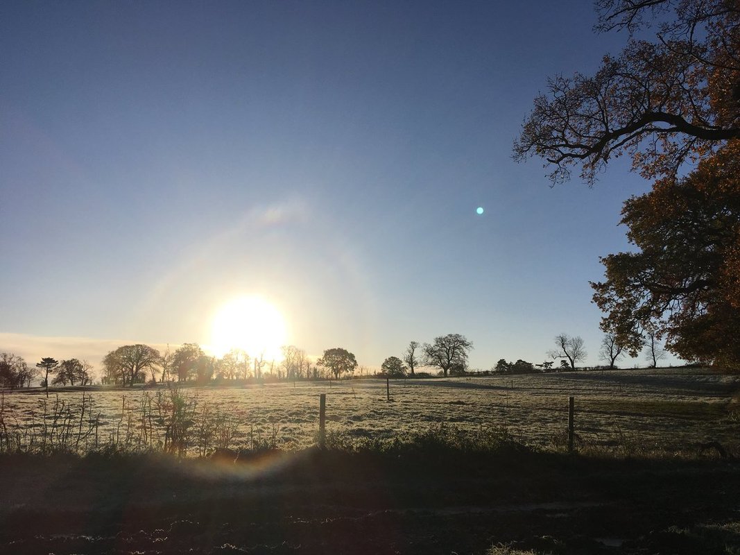 Sun rises over frosty field