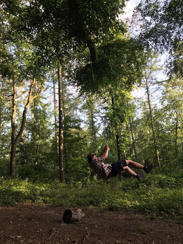 Person swings from a rope that hangs from a tree