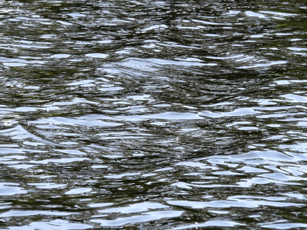 Close up of water surface