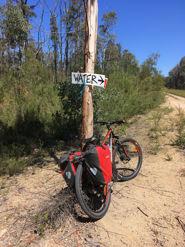 Bike propped against tree under sign for water