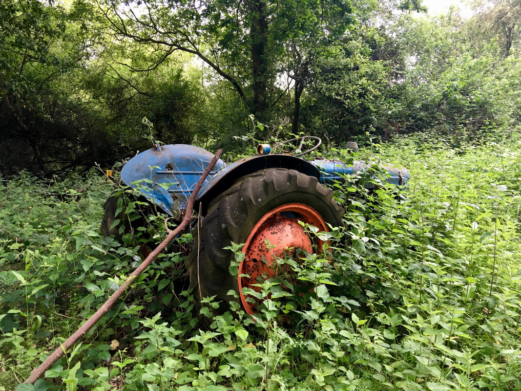 a blue tractor with red wheels, covere in nettles and vines