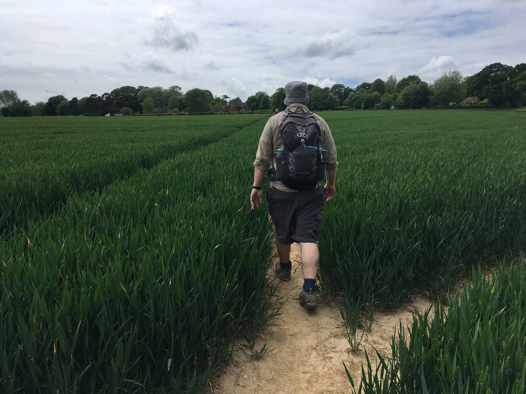 person walking through wheat field