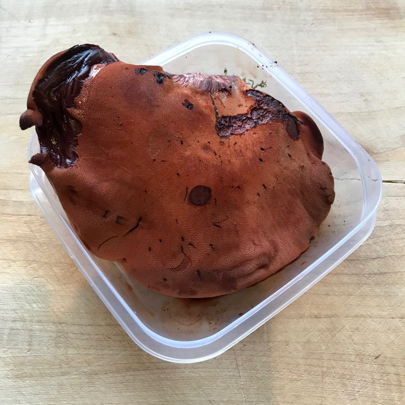 The fungus in a plastic container
