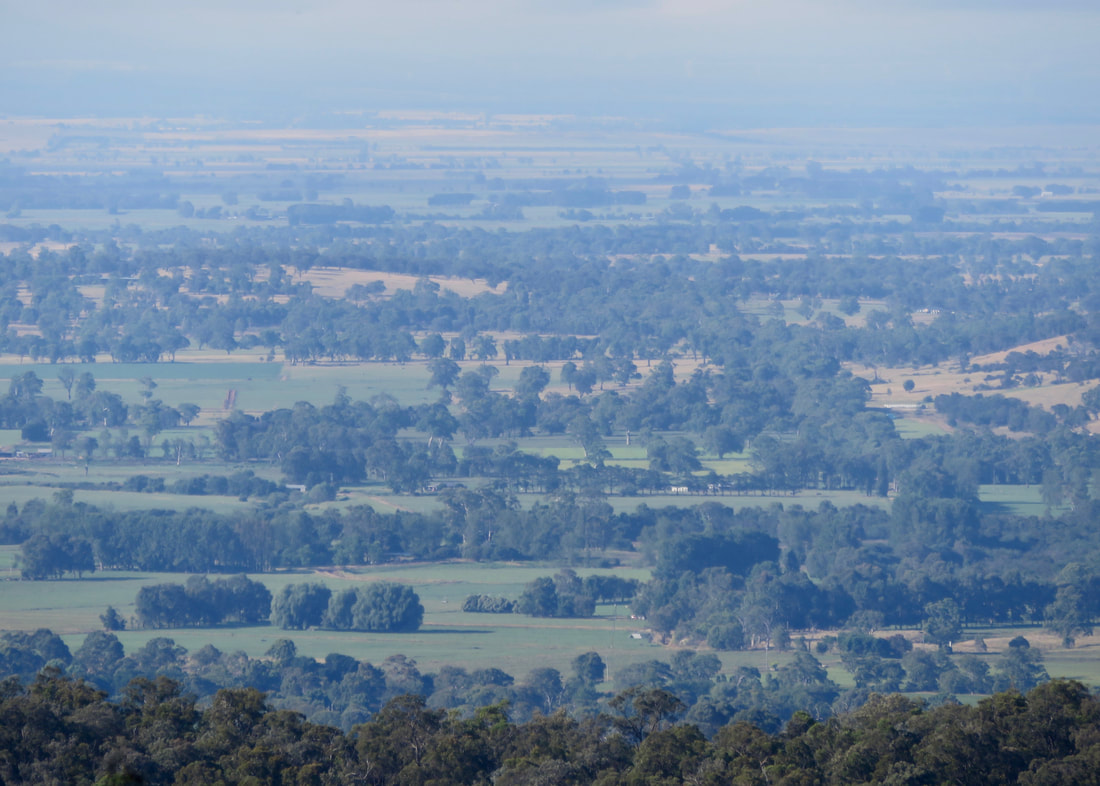 Slightly hazy view over plains with paddocks and trees