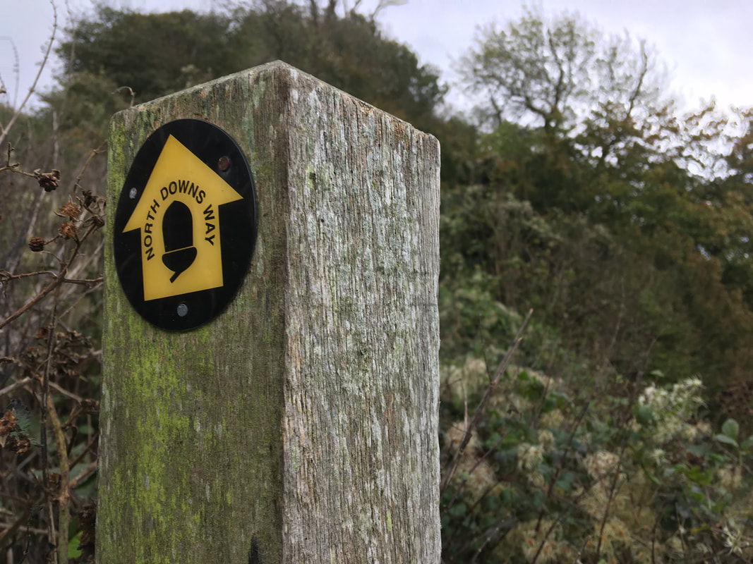Wood post with circular yellow waymarker