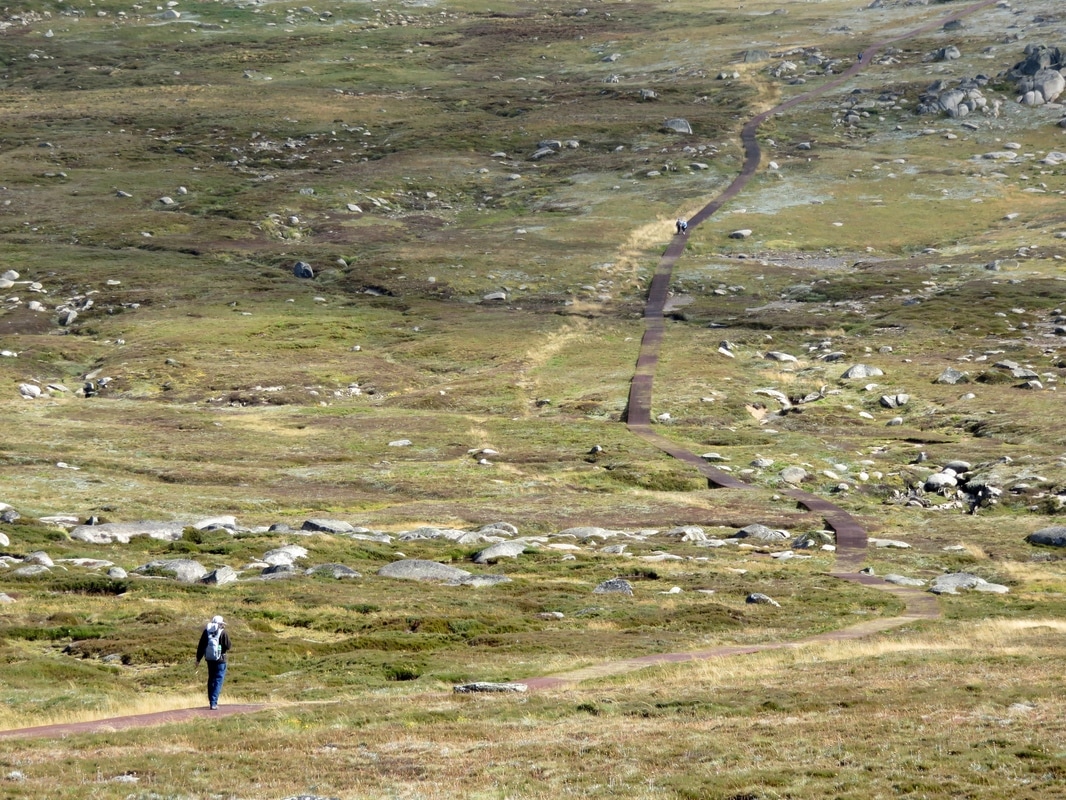 Path over heathy, rocky landscape