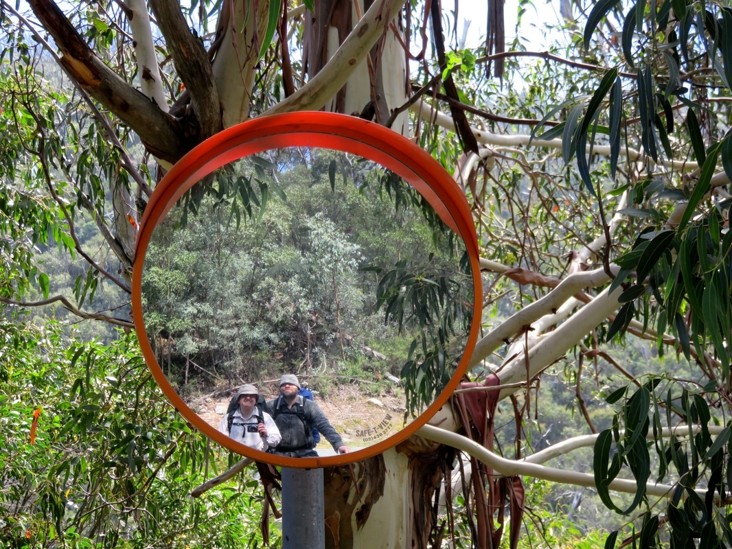 People reflected in round mirror on tree