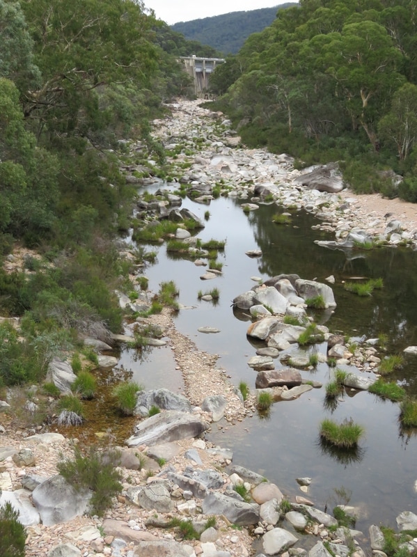 Looking upstream to distant dam