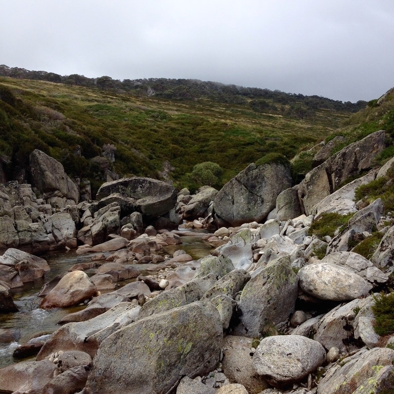 Stream in small rocky gorge